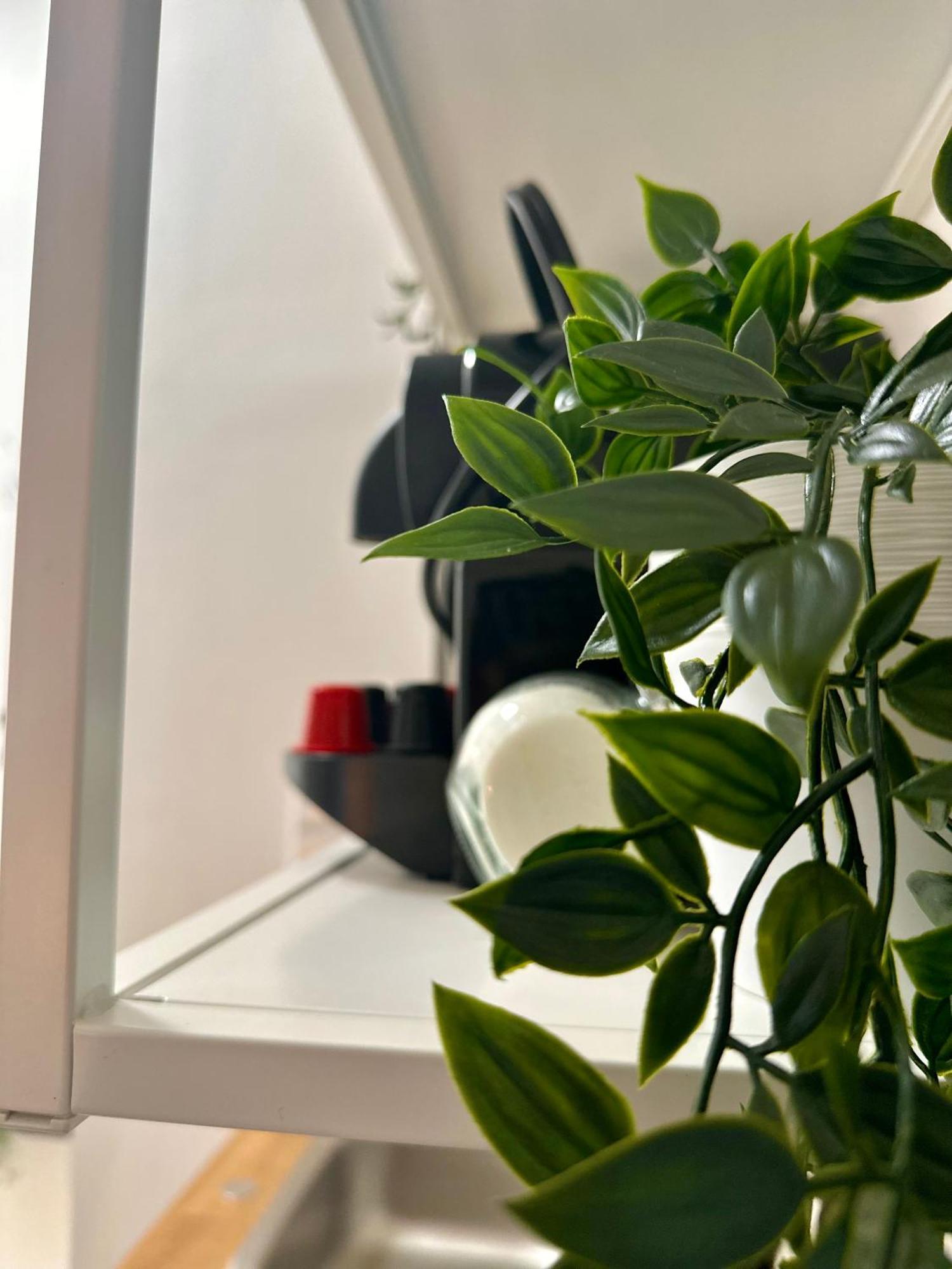 Cozy Centre Apartments ブダペスト エクステリア 写真
